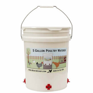 5 Gallon Quail Waterer