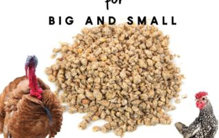 Manna Pro, All Flock Crumbles