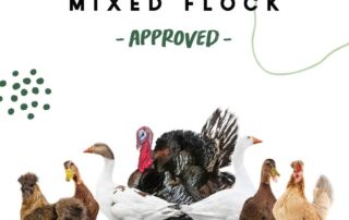 Manna Pro, All Flock Crumbles