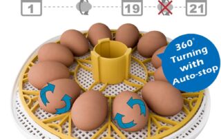 Meuiosd Egg Icubator Calendar