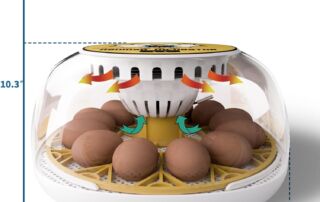 Meuiosd Egg Icubator Dimensions