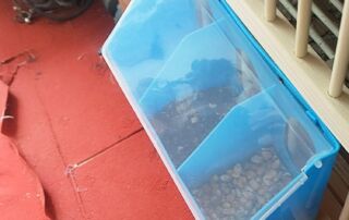 Three Hole Feeder/Waterer