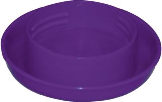 Purple Screw On Watering Base for Quart Jar