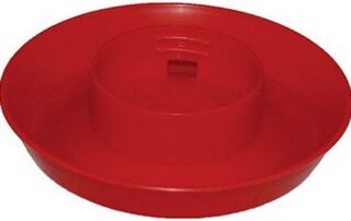 Red Screw On Watering Base for Quart Jar